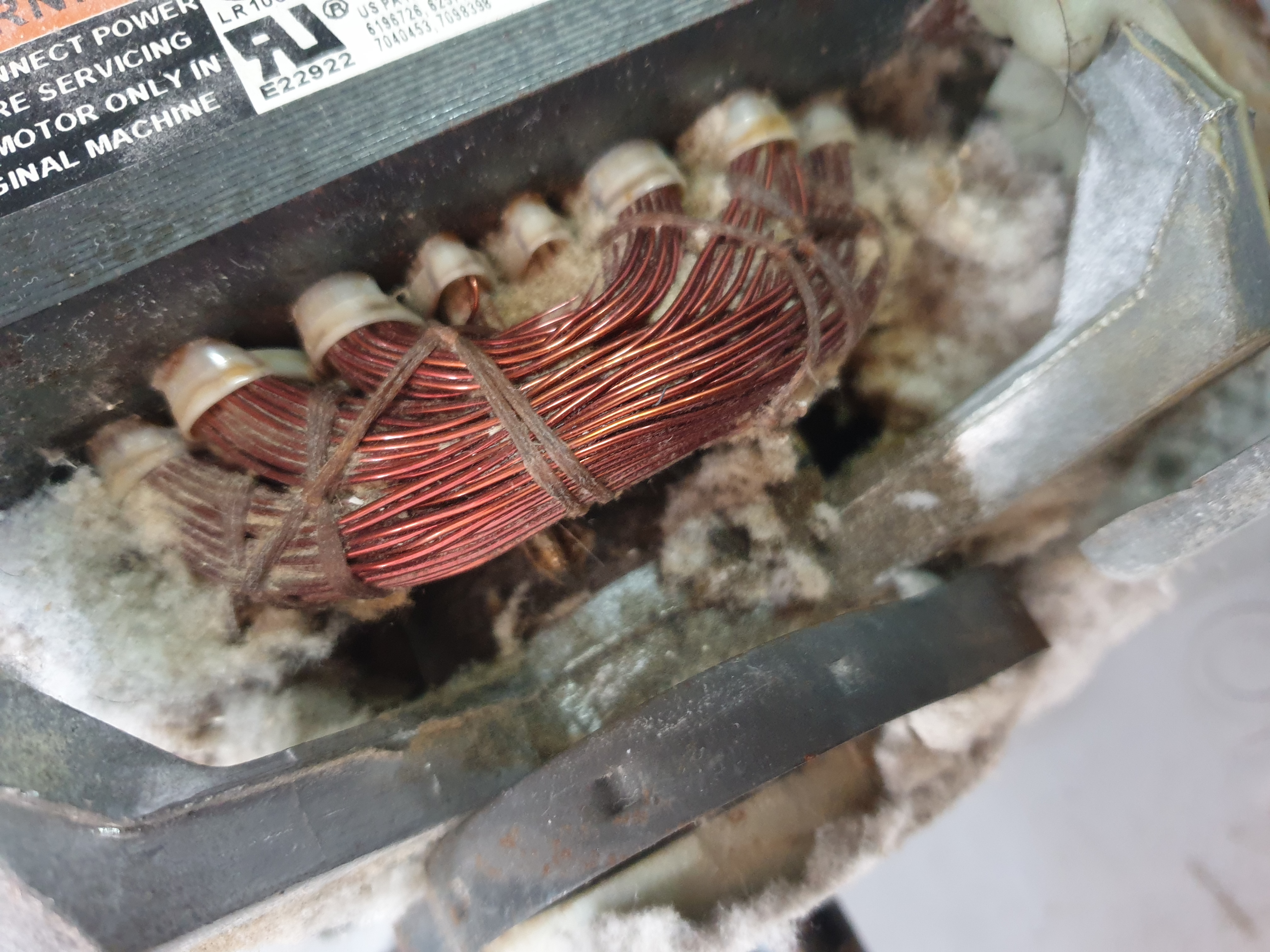 Close-up of Speed Queen dryer motor windings with lint buildup