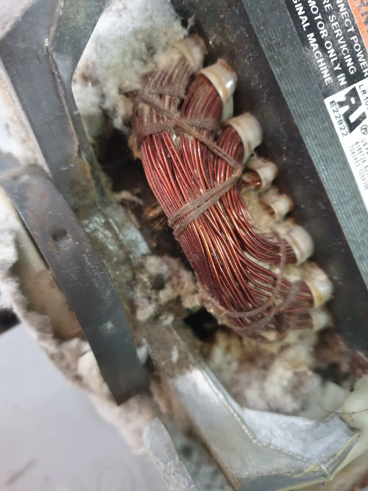 Close-up of Speed Queen dryer motor windings with lint buildup